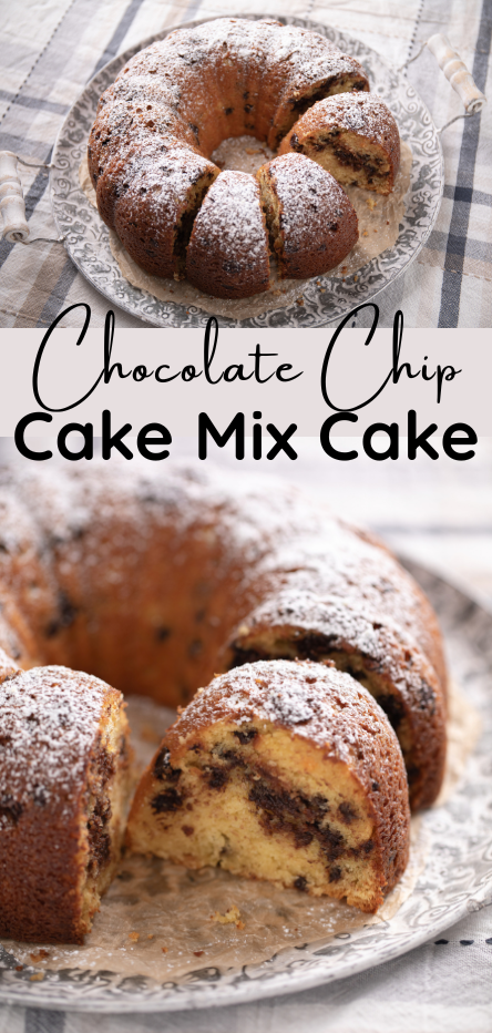 A cake mix cake with vanilla pudding and sour cream plus chocolate chips. This one's a winner! | beatbakeeat.com